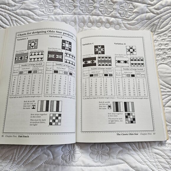 Fast Patch: A Treasury Of Strip Quilt Projects By Anita Hallock, Signed - Picture 7 of 15